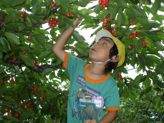 美味し~い! 美味し~い!